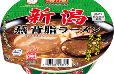 ニュータッチ凄麺&日清カップヌードル&一蘭 詰め合わせ42点セット img_yamadai_niigatatsubameseab